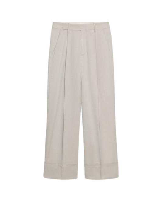 Women Basic Beige Suit Pants